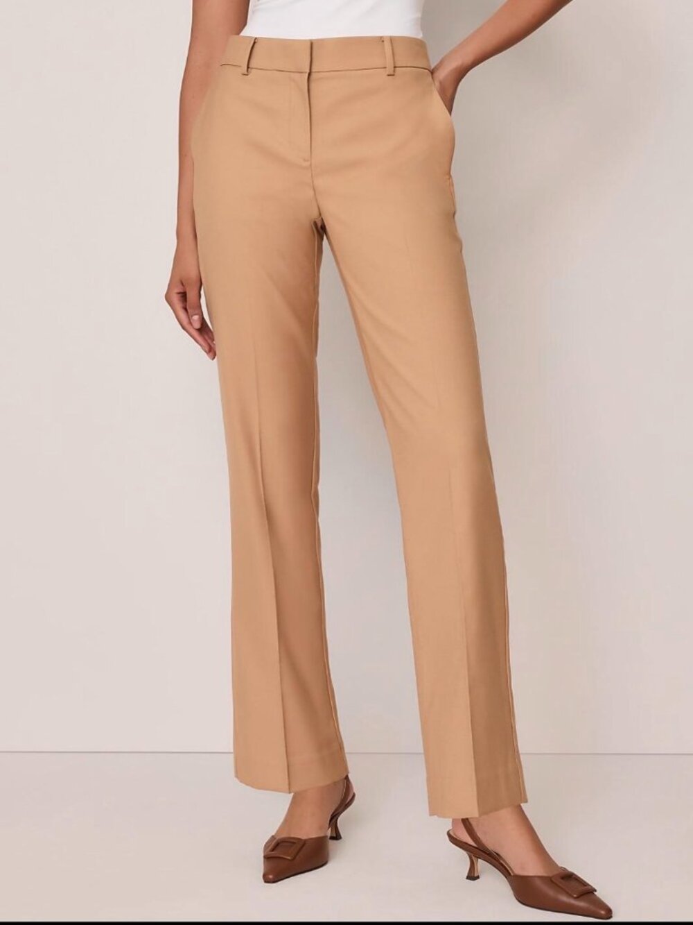 Ann Taylor Camel Double Knit Straight Leg Pants - 10 Tall